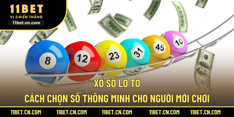 Xổ Số Lô Tô - Cách Chọn Số Thông Minh Cho Người Mới Chơi Xổ số lô tô